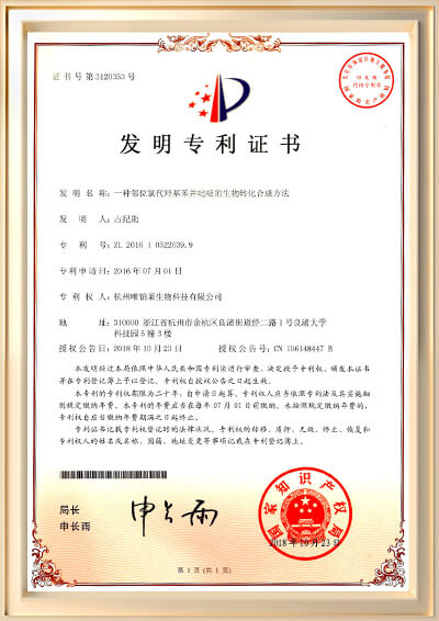 专利号ZL 20161 0522039.9